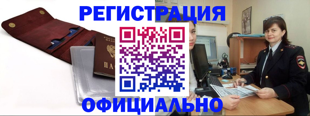 прописка поиск в Павловске